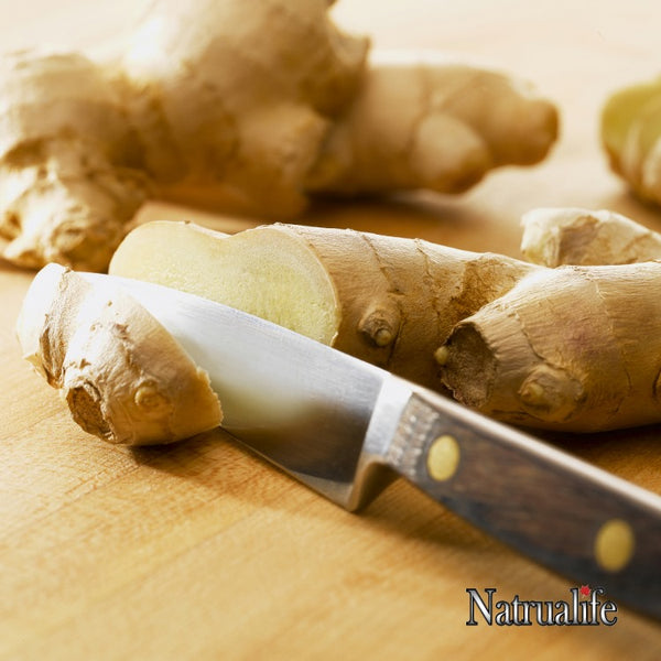 Natrualife Ginger Anti-Nausea Plant