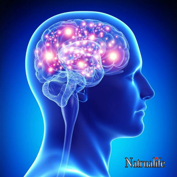 Natrualife Omega-3 Brain Health